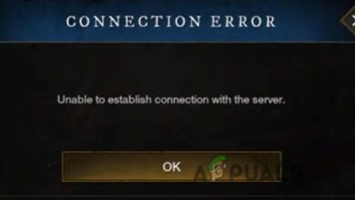 New World Connection Errors on Windows