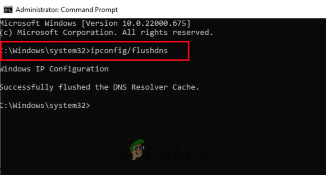 Flush DNS