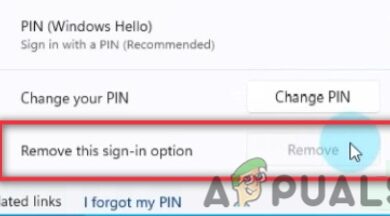 How do I turn off PIN login on Windows 11?