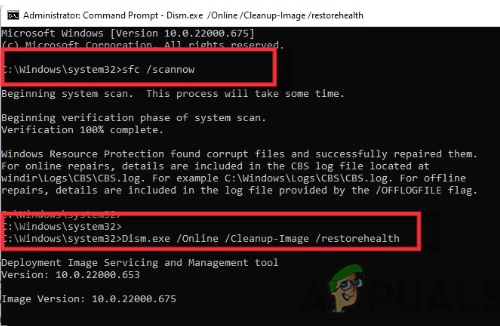 Run the Scanning Tool 