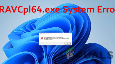 RAVCpl64.exe System Error