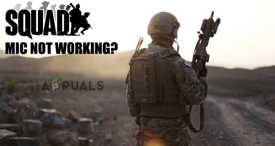 Squad Mic Not Working