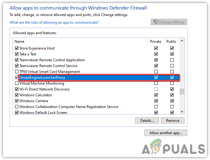 Allowing Private and Public Networks