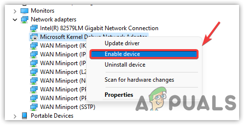 Enable Hidden Network Adapters