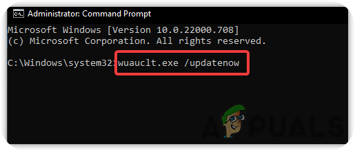 Forcing Windows to update
