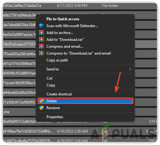 Removing Software Distribution files