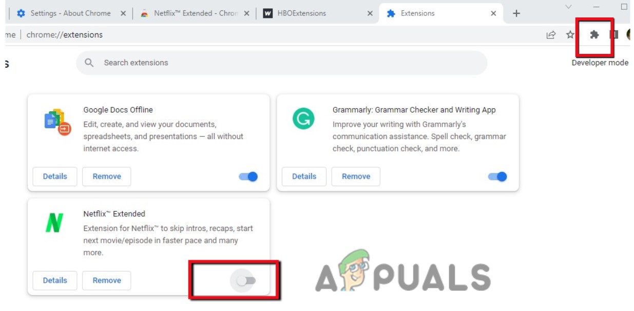 Turn Off the Netflix Extension