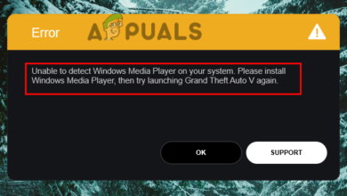 GTA V Unable To Detect Media Player Erro