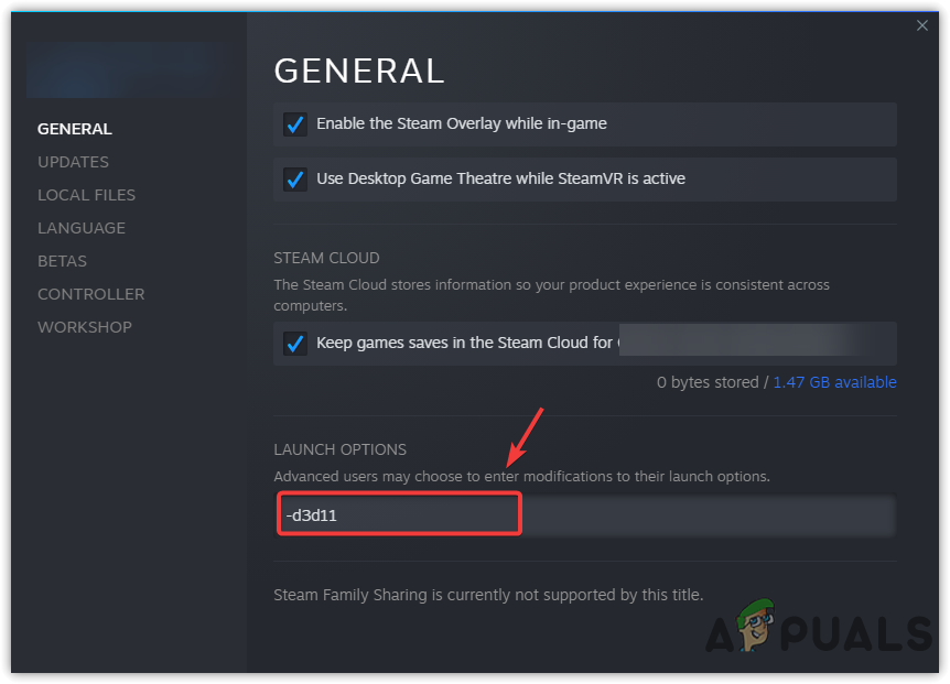 Adding launch Options