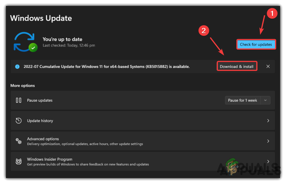 Checking For Updates Windows 11