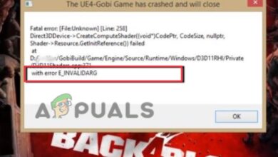 Fix Back 4 Blood Error E_INVALIDARG , The UE4-Gobi Game has crashed