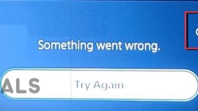 Fix PS5 Error Code CE-100095-5