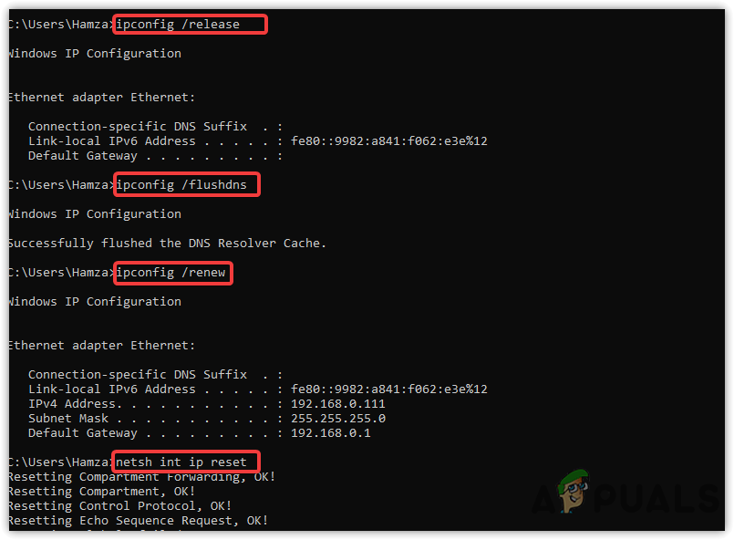 Flushing Network Settings