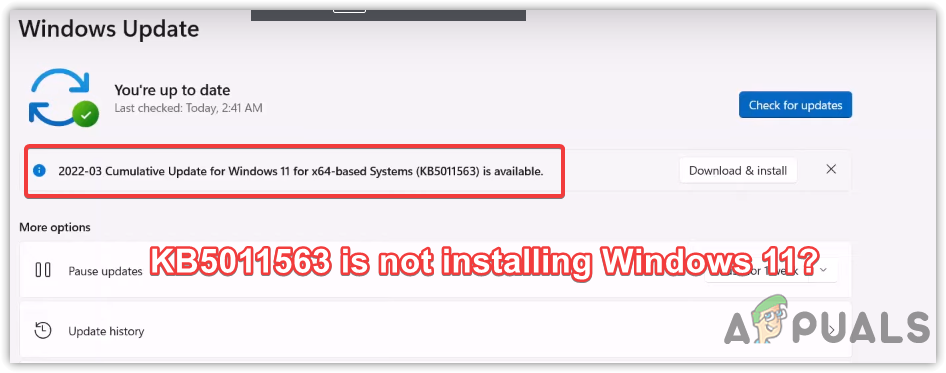 How To Fix KB5011563 Will Not Install on Windows 11?