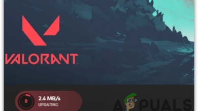 How To Fix Valorant keep Updating