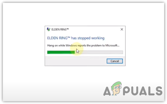 How to Fix Elden Ring White Screen Crash Error?