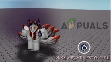 Fix Roblox Shift Lock is not Working