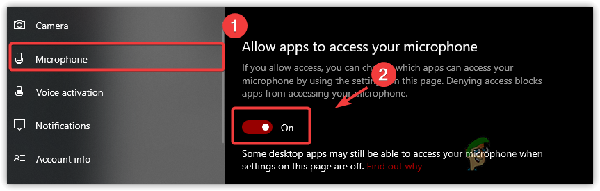 Allowing Microphone Access for Applications