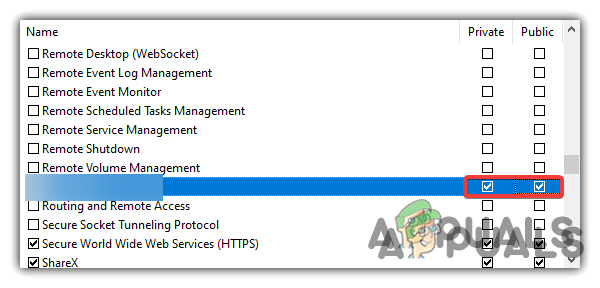 Allowing Private and Public Networks in Firewall