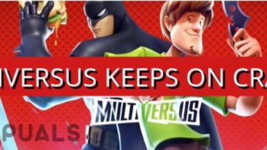 How to Fix MultiVersus Keeps on Crashing