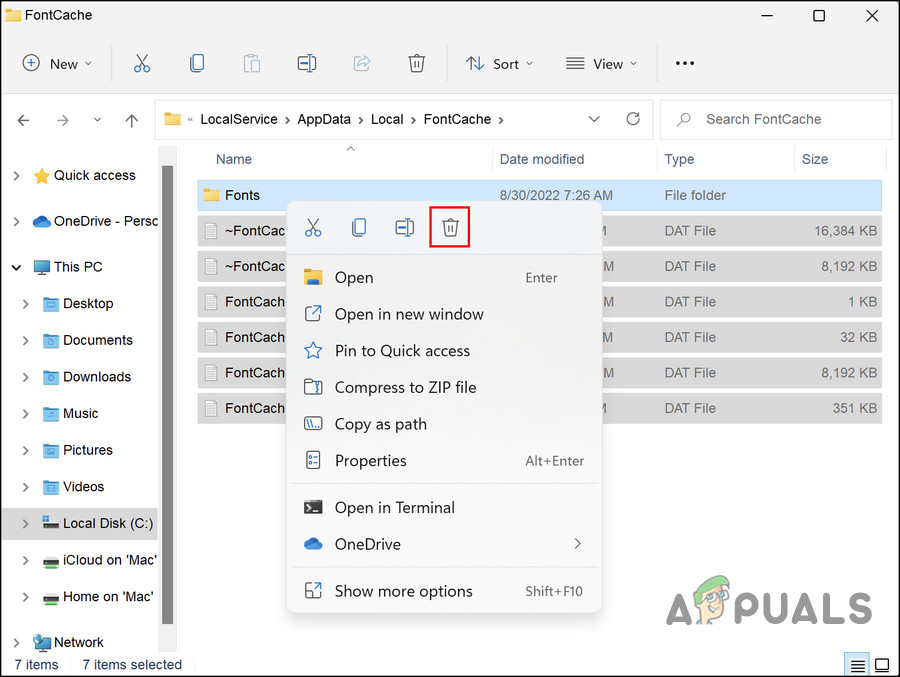 Segoe UI Fluent Icon