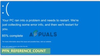 0x0000001C: PFN_REFERENCE_COUNT Blue Screen error in Windows