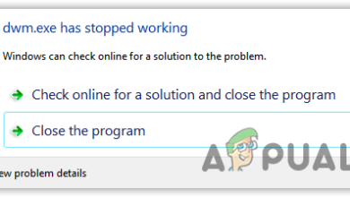 dwm.exe has stopped working
