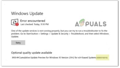 fix KB5016616 fails to install on Windows 10