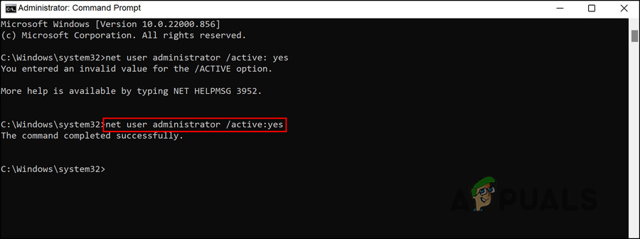Execute the entered command