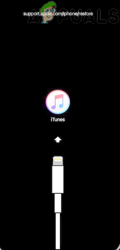 Boot iPhone into the Recovery Mode