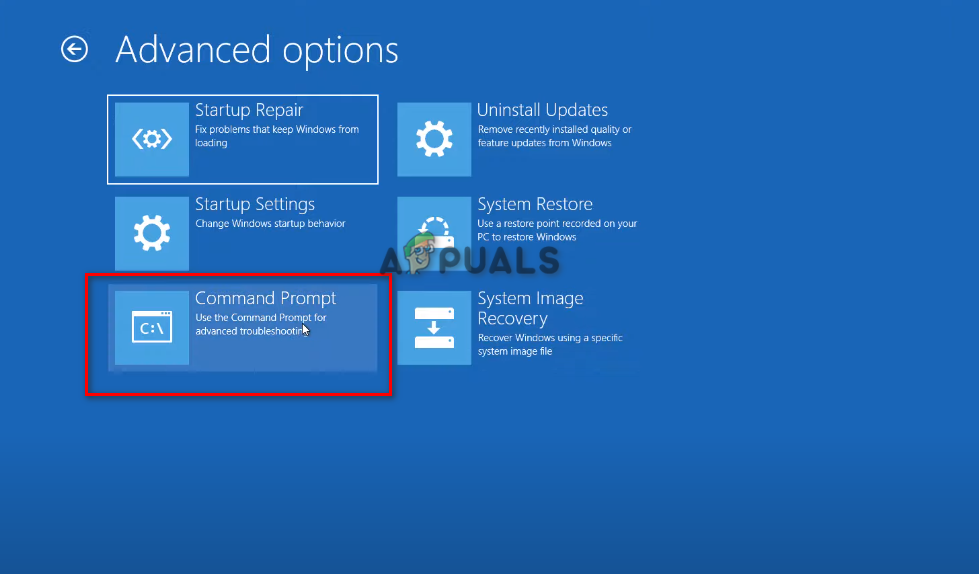 Opening Command Prompt.