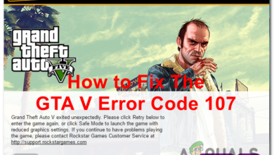 Fixing the GTA V error code 107