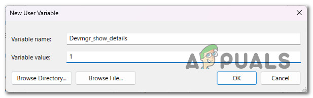 Configuring the new variable to make the malfunctioning USB ports drivers visible inside Device Manager