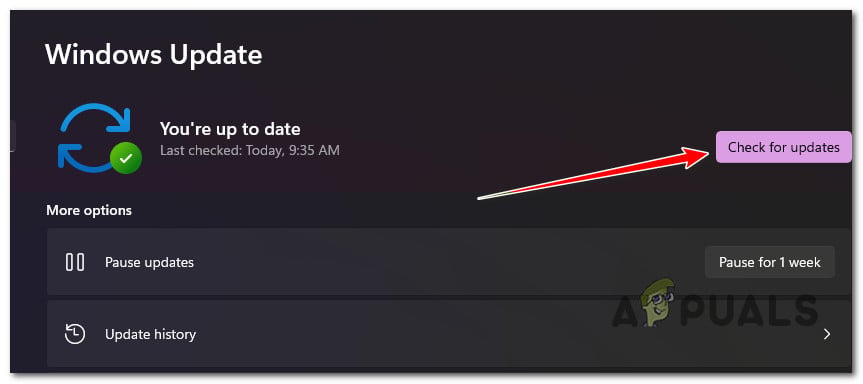 Media Streaming not Working on Windows 11