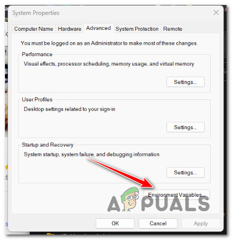 Access the Environment Variables screen