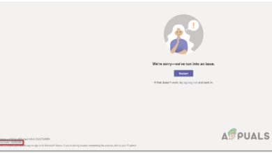 Microsoft Teams Error 80080300