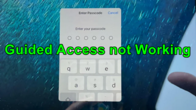 Guided Access not Working