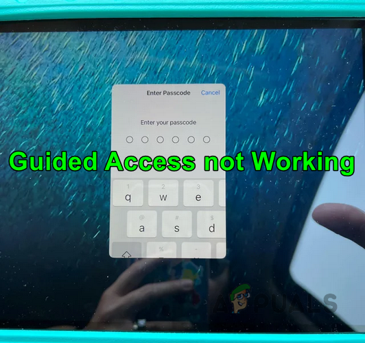 Guided Access not Working