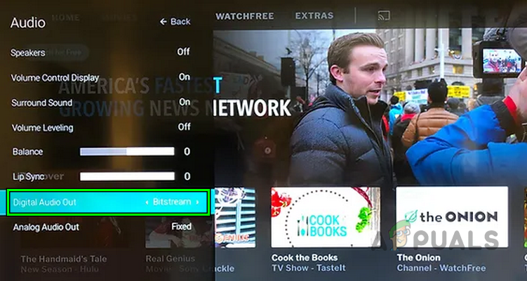 Set the Digital Audio Out to Bitstream in the Vizio TV Settings