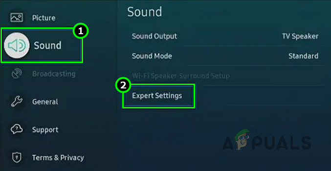 Open Expert Settings in the Samsung TV Settings