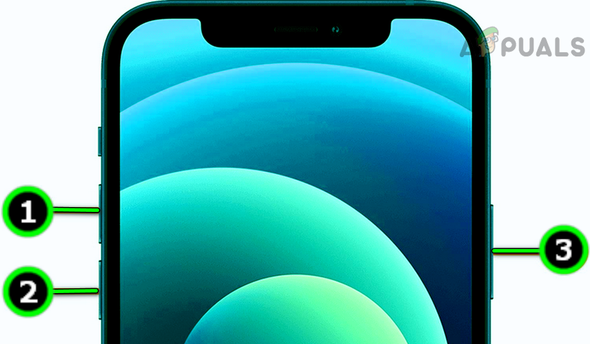 Force Restart the iPhone