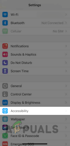 Open Accessibility in the iPhone Settings