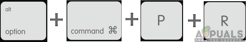 Reset PRAM or NVRAM of the Mac