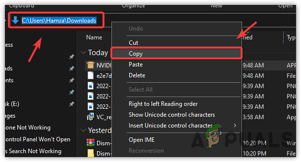 Copying Nvidia Control Panel Setup Path