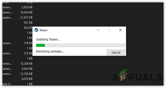Extracting Steam Package