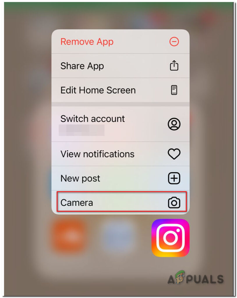 Instagram Camera Button