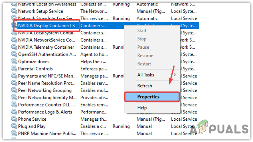 Opening Nvidia Display Container LS service properties