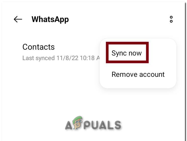 Start Syncing the Contacts with Whatsapp