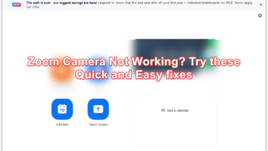 Zoom Camera Not Working