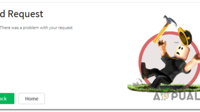 Fixing the Roblox error code 400